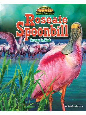 cover image of Roseate Spoonbill